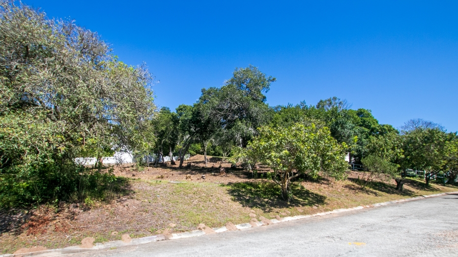 0 Bedroom Property for Sale in Belvidere Estate Western Cape